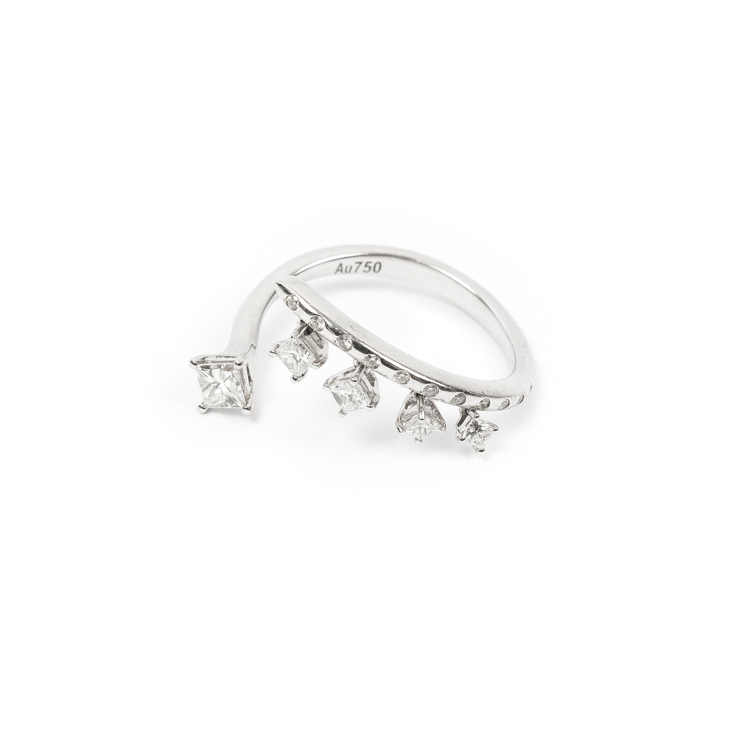 The Milky Way Ring