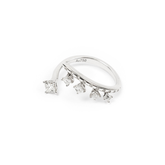 The Milky Way Ring
