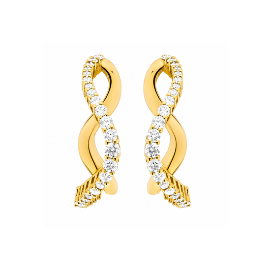 The Double Wave Earrings